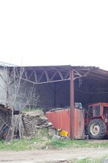 IMG_5330.jpg