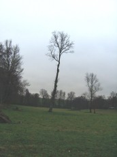 CIMG9294.JPG