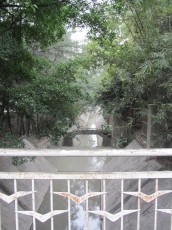 IMG_1277.jpg