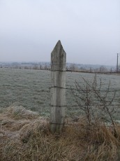 CIMG9587.JPG