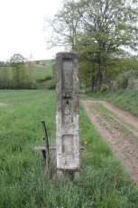 IMG_1795.jpg