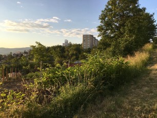 Montmartre-juin