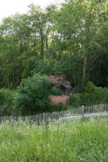 _MG_2517.jpg