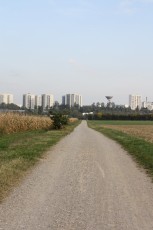 IMG_4088.jpg