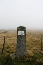 IMG_8270.jpg