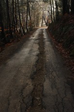 IMG_4820.jpg