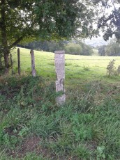 2014-08-10 18.05.53.jpg