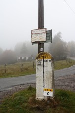 IMG_8295.jpg