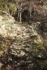 IMG_4835.jpg