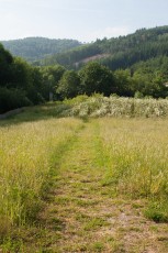 _MG_2509.jpg