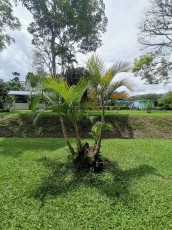 turrialba-43.jpg