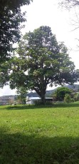 turrialba-2.jpg