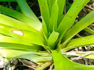 turrialba-20.jpg