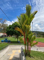 turrialba-33.jpg