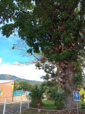 turrialba-2.jpg