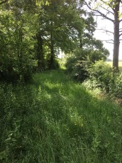 Chemin