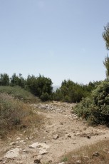 _MG_2172.jpg