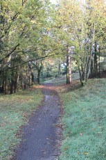 IMG_3766.jpg