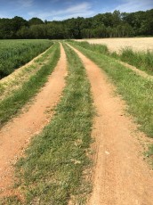 Chemin