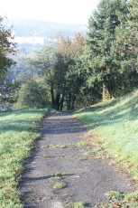 IMG_3775.jpg