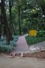 IMG_8485.jpg