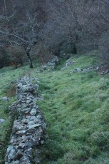 IMG_4926.jpg
