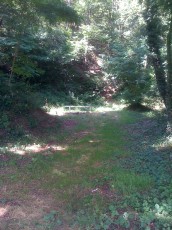 2012-07-09 16.16.00.jpg