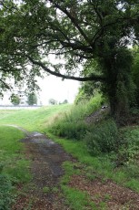 IMG_0004.jpg