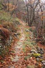 IMG_4785.jpg