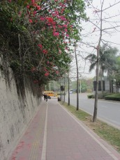 IMG_1276.jpg