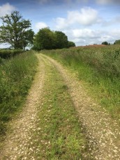 Chemin