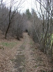 CIMG0261.JPG