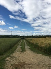 Le chemin moulin