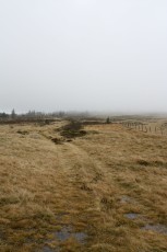 IMG_8268.jpg