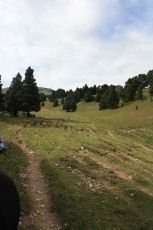 IMG_3049.jpg