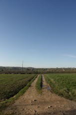 _MG_2031.jpg