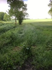 Chemin