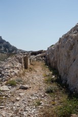 IMG_5642.jpg