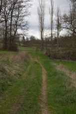 IMG_5306.jpg