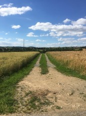 Le chemin moulin