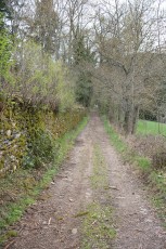 IMG_5291.jpg