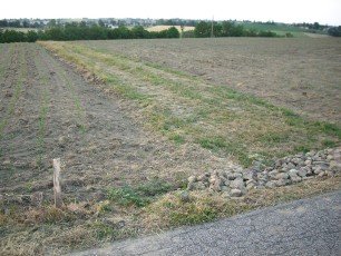 CIMG4406.jpg